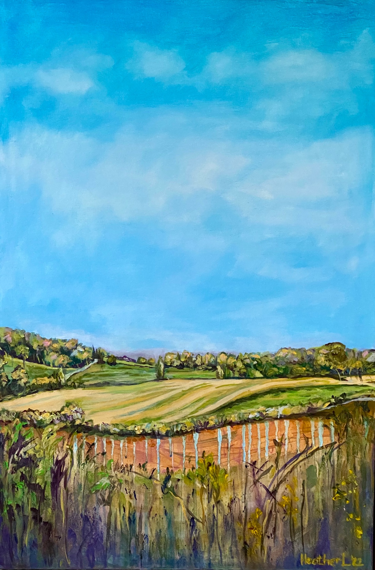 Long view, Burwardsley Cheshire